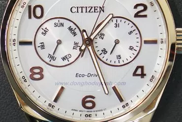 Dòng chữ Japan Movt nghĩa là gì?