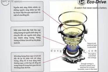 Nguyên lý hoạt động của đồng hồ Citizen Eco Drive