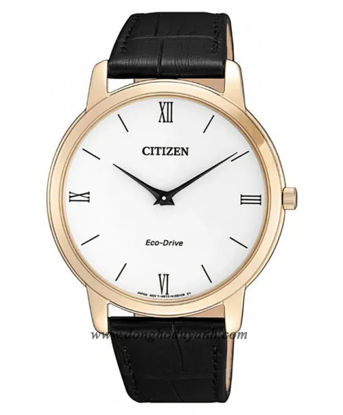 Đồng Hồ Citizen AR1133-23A