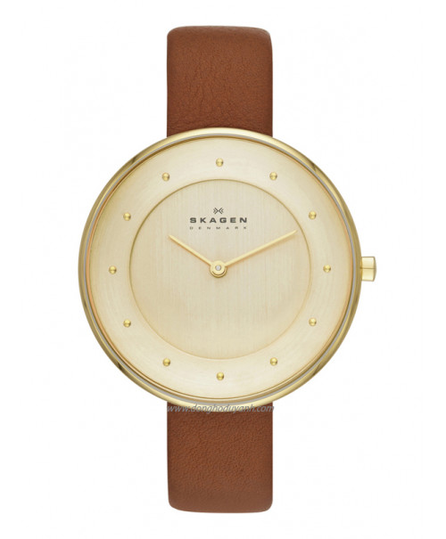 Đồng hồ Skagen SKW2138