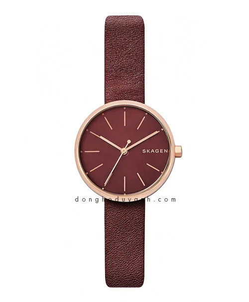 Đồng hồ Skagen SKW2646