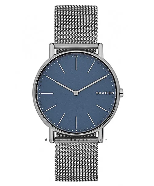 Đồng hồ Skagen SKW6420