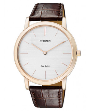 Đồng hồ Citizen AR1113-12A