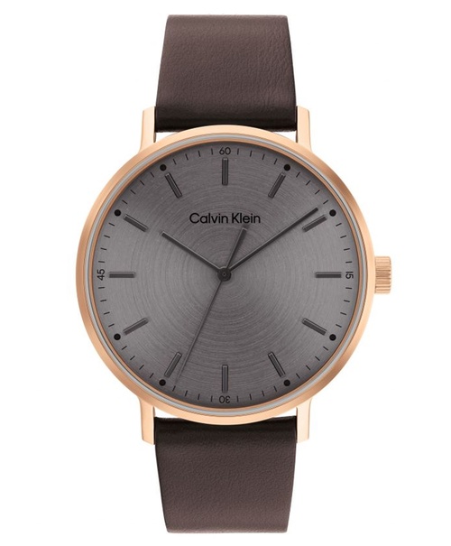 Đồng hồ nam Calvin Klein Modern 25200051