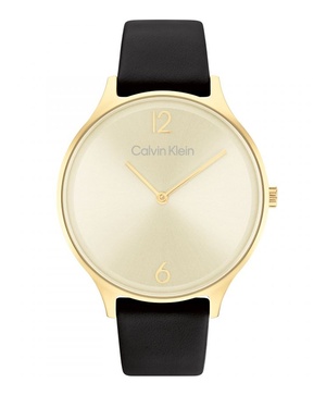Đồng hồ nữ Calvin Klein Timeless 2H 25200008