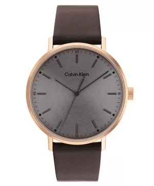 Đồng hồ nam Calvin Klein Modern 25200051