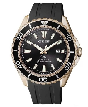 Đồng hồ nam Citizen Eco-Drive Promaster BN0193-17E