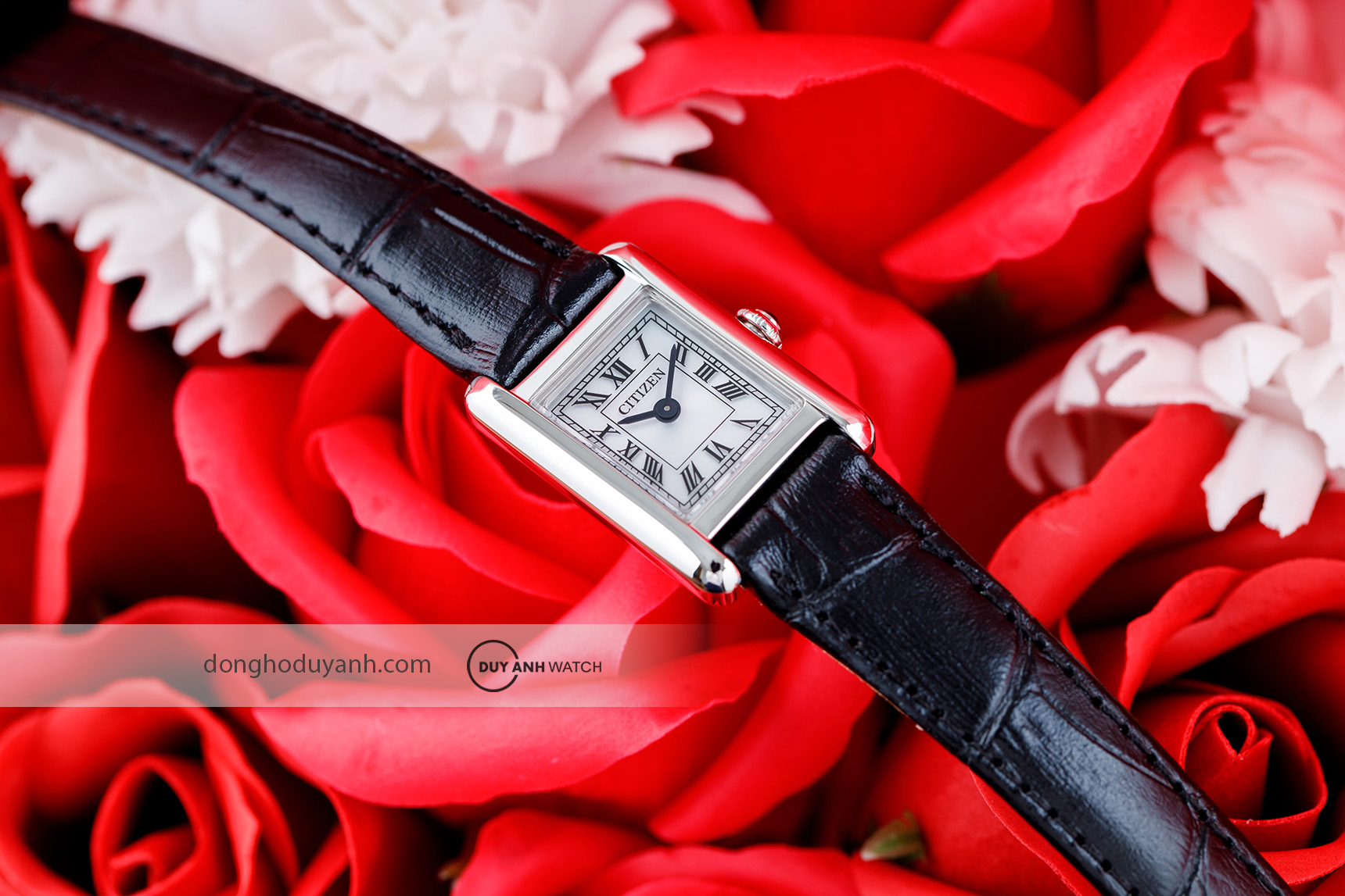 Đồng hồ Citizen Eco-Drive EG2790-12A0