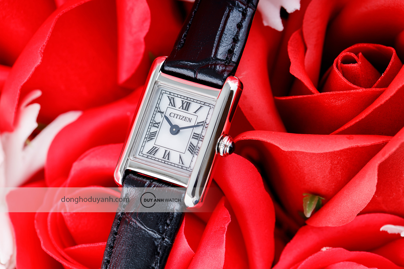 Đồng hồ Citizen Eco-Drive EG2790-12A2