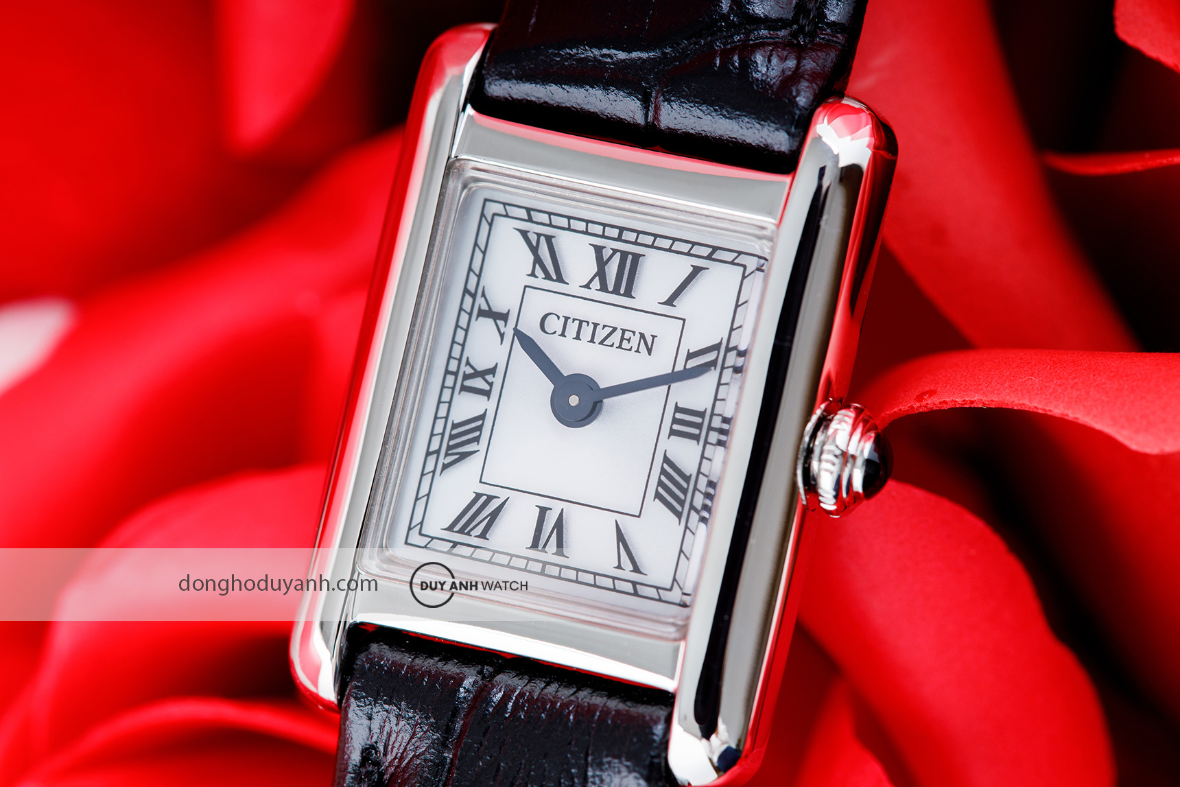 Đồng hồ Citizen Eco-Drive EG2790-12A1