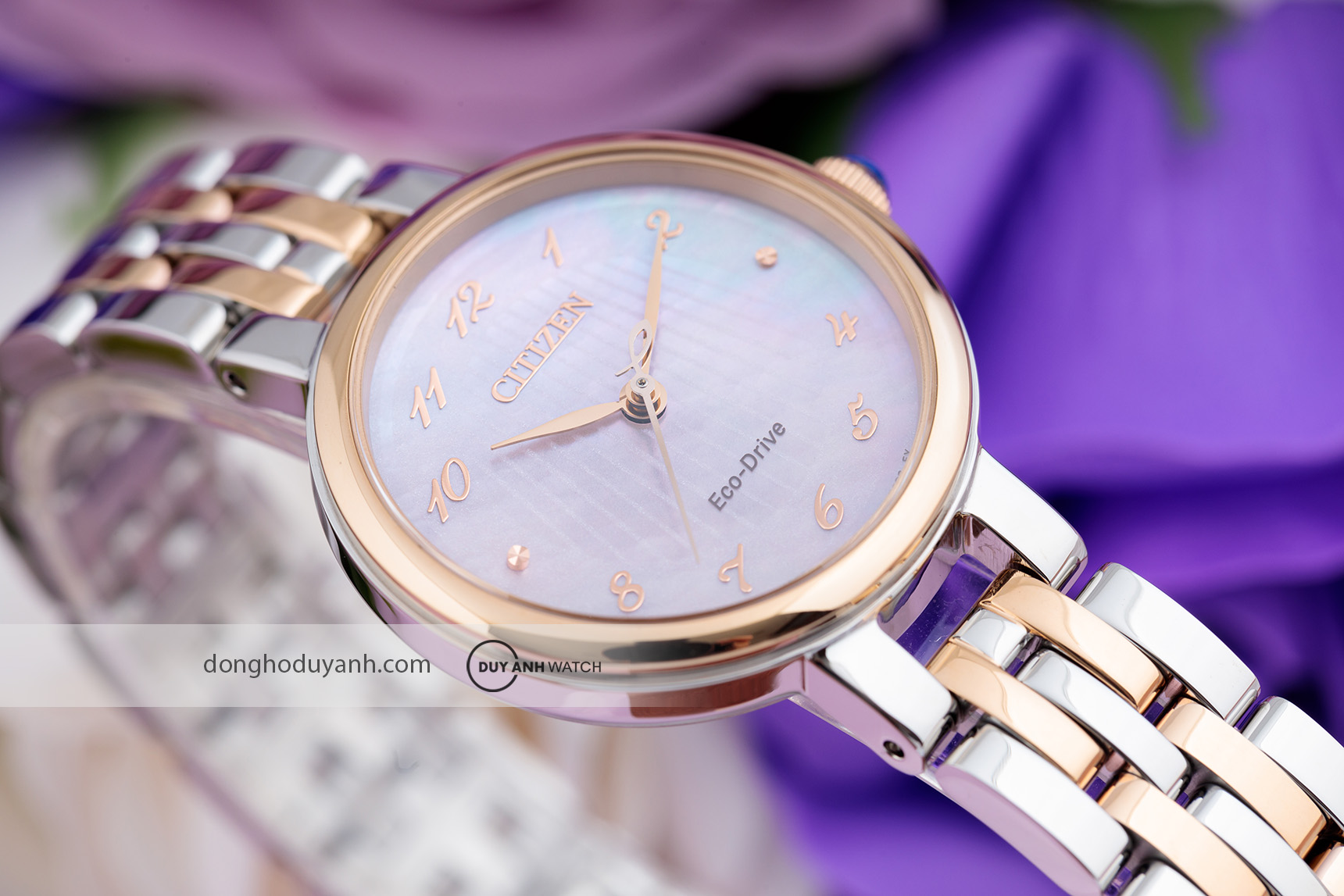 Đồng hồ nữ Citizen L Eco-Drive EM0996-84Y1