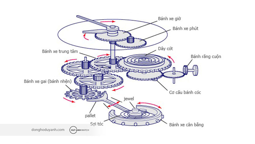 Cơ chế hoạt động của đồng hồ automatic