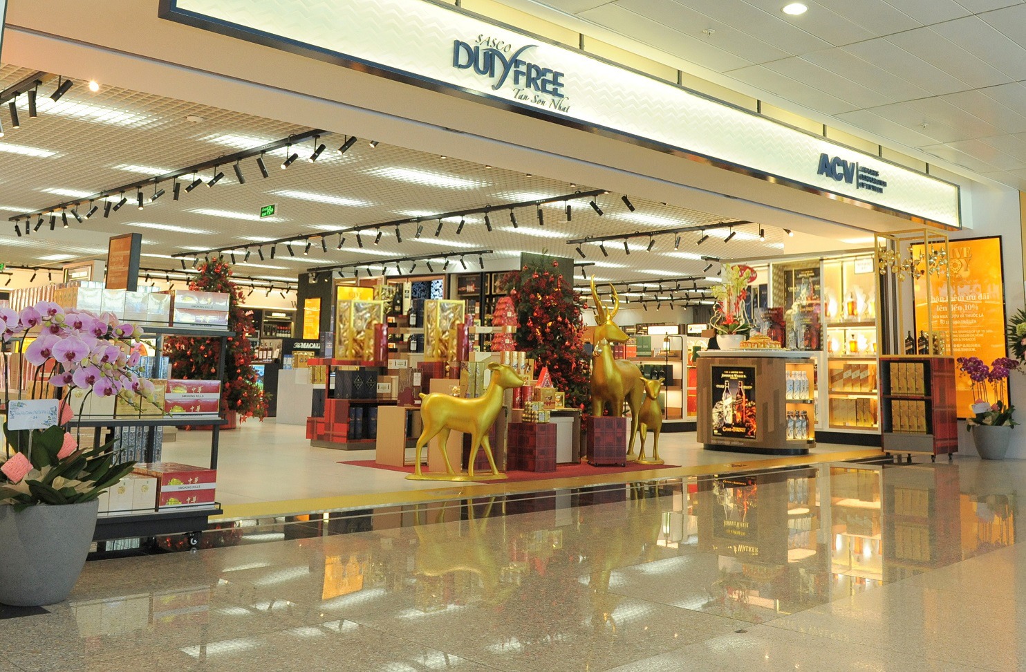 Cửa hàng DFS - Sân Bay Tân Sơn Nhất