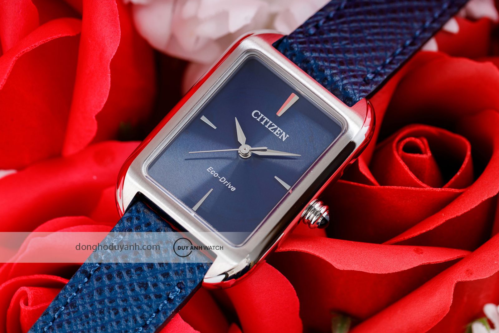 Mặt số Citizen Eco-Drive EM1190-06L