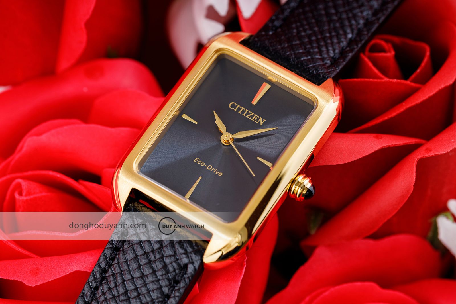 Mặt số Citizen Eco-Drive EM1192-01E