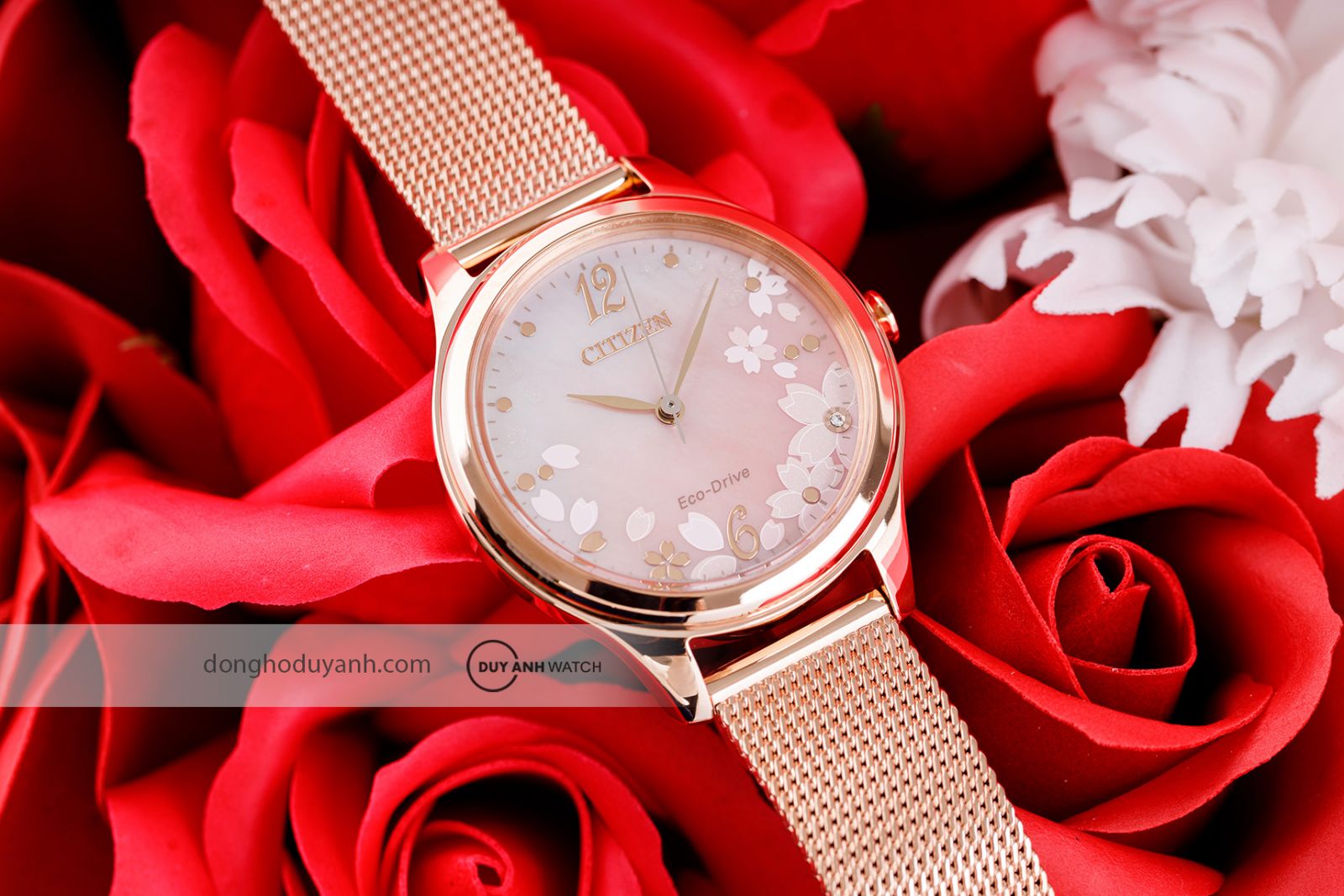 Đồng hồ nữ Citizen Eco-Drive EM0508-80D