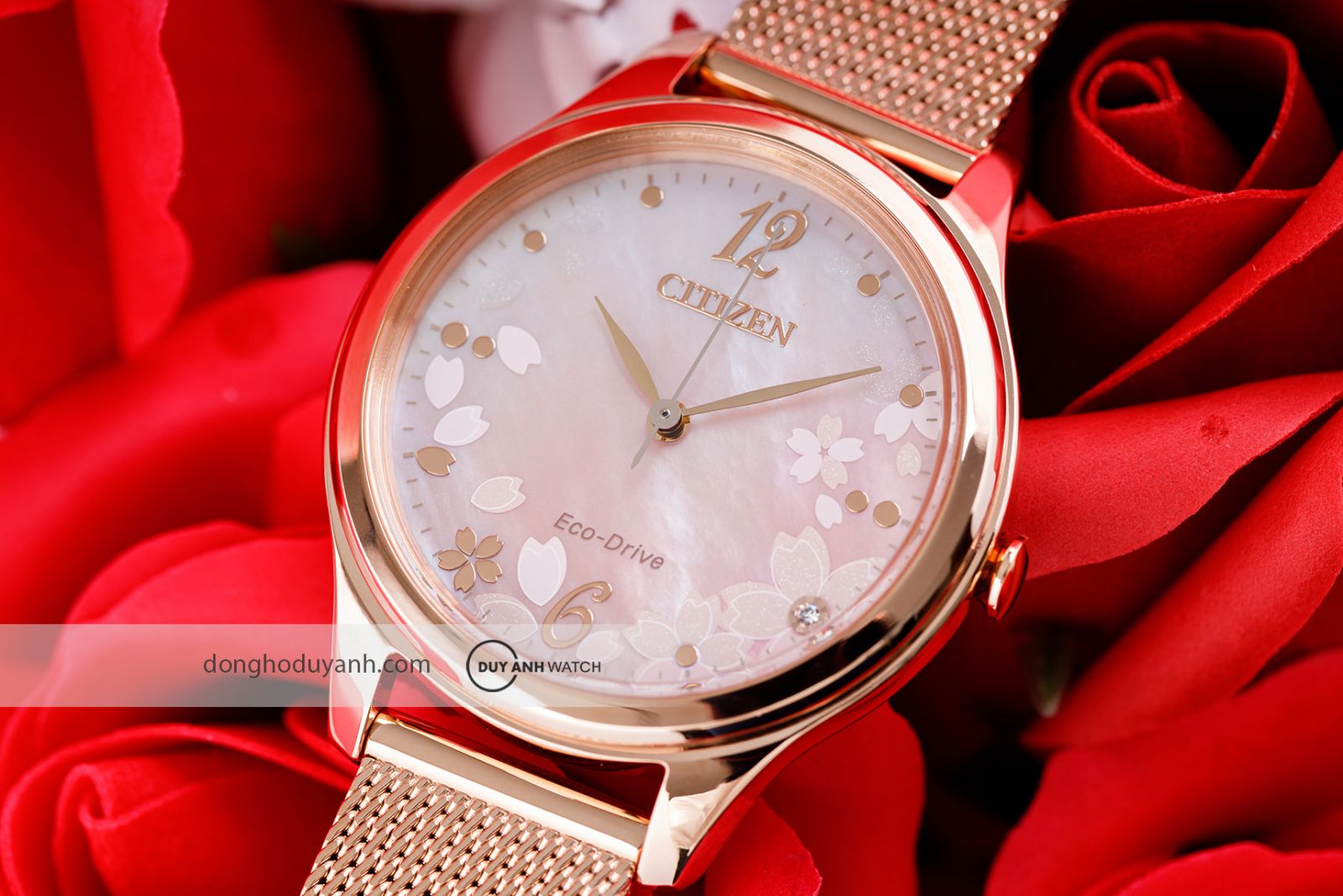 Mặt số đồng hồ nữ Citizen Eco-Drive EM0508-80D