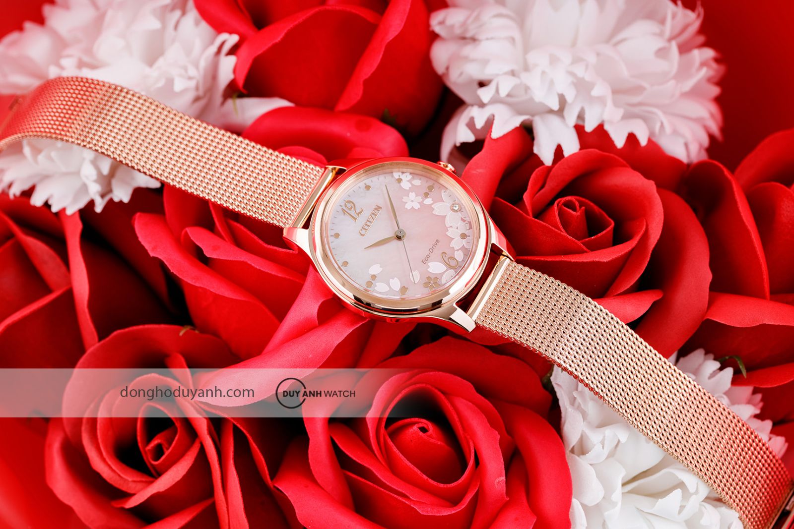 Tổng thể Citizen Eco-Drive EM0508-80D