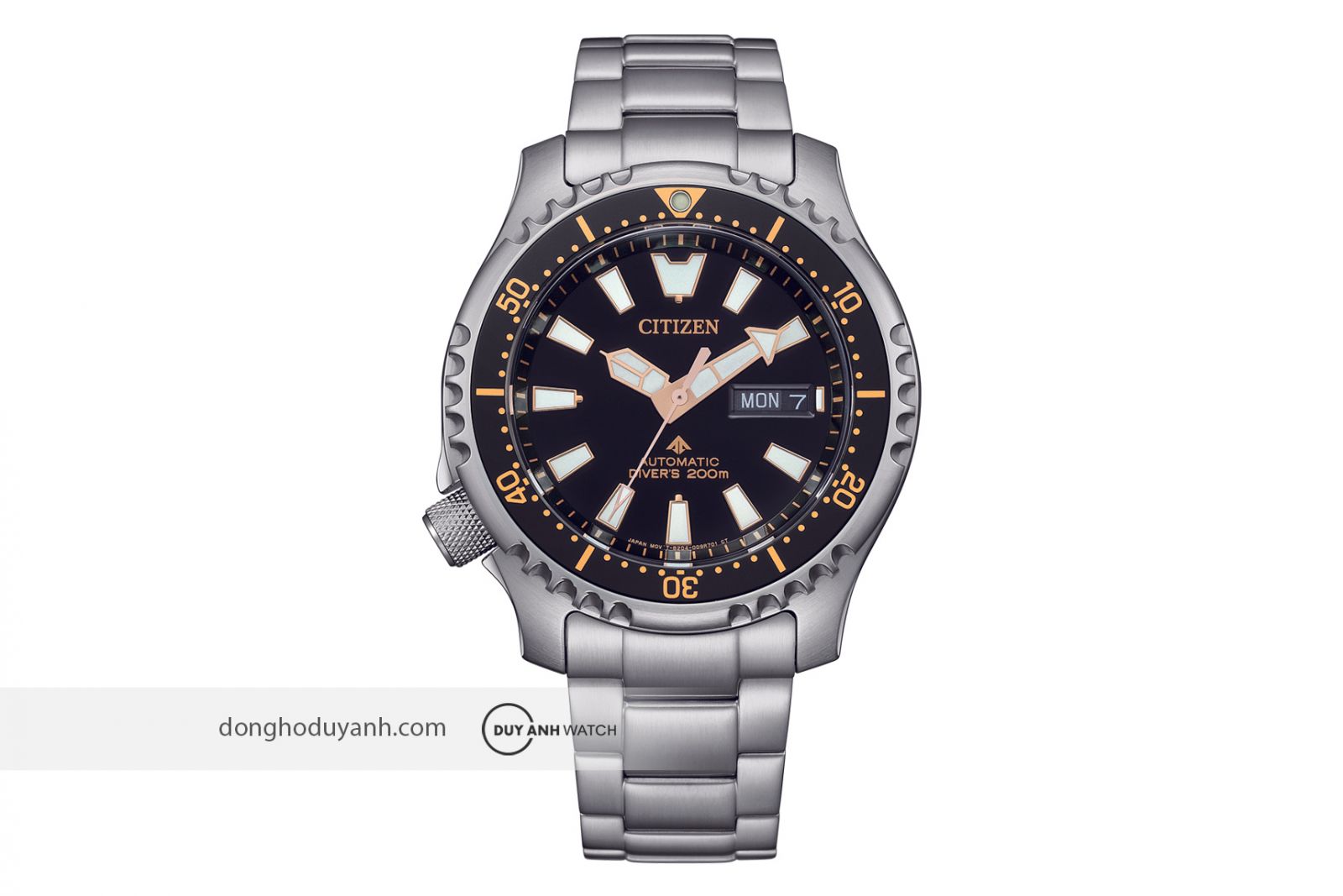 Citizen Promaster NY0160-66E