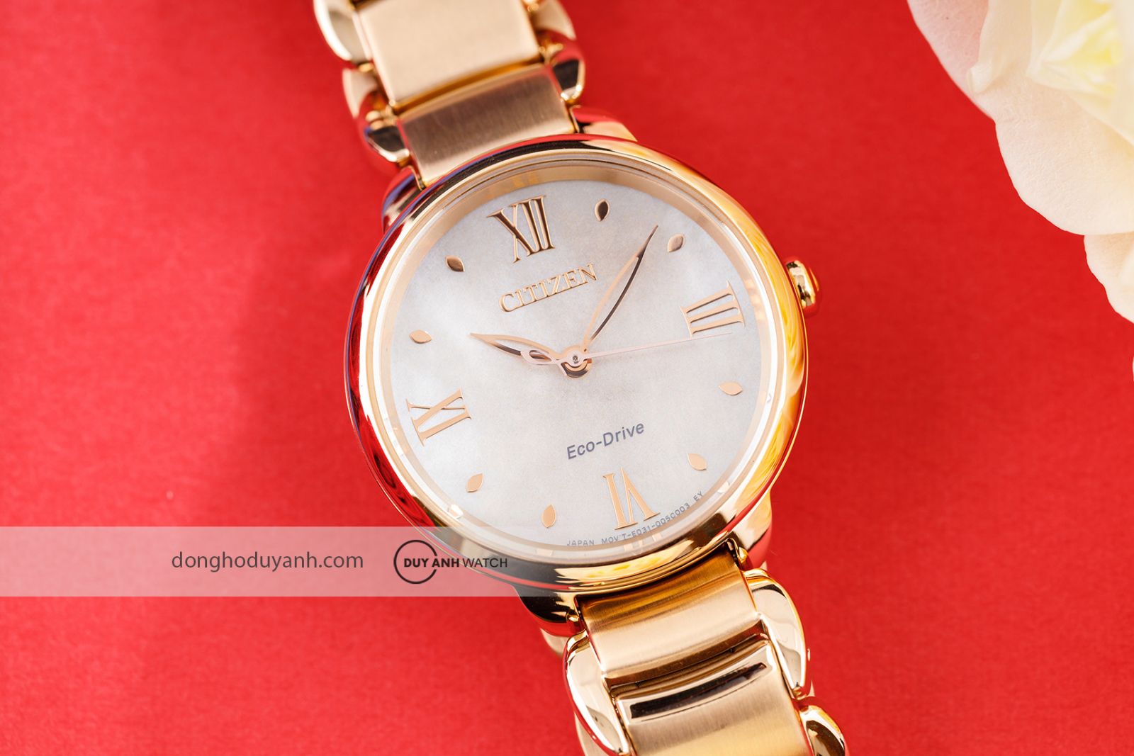 Mặt kính Citizen L Eco-Drive EM0929-81Y