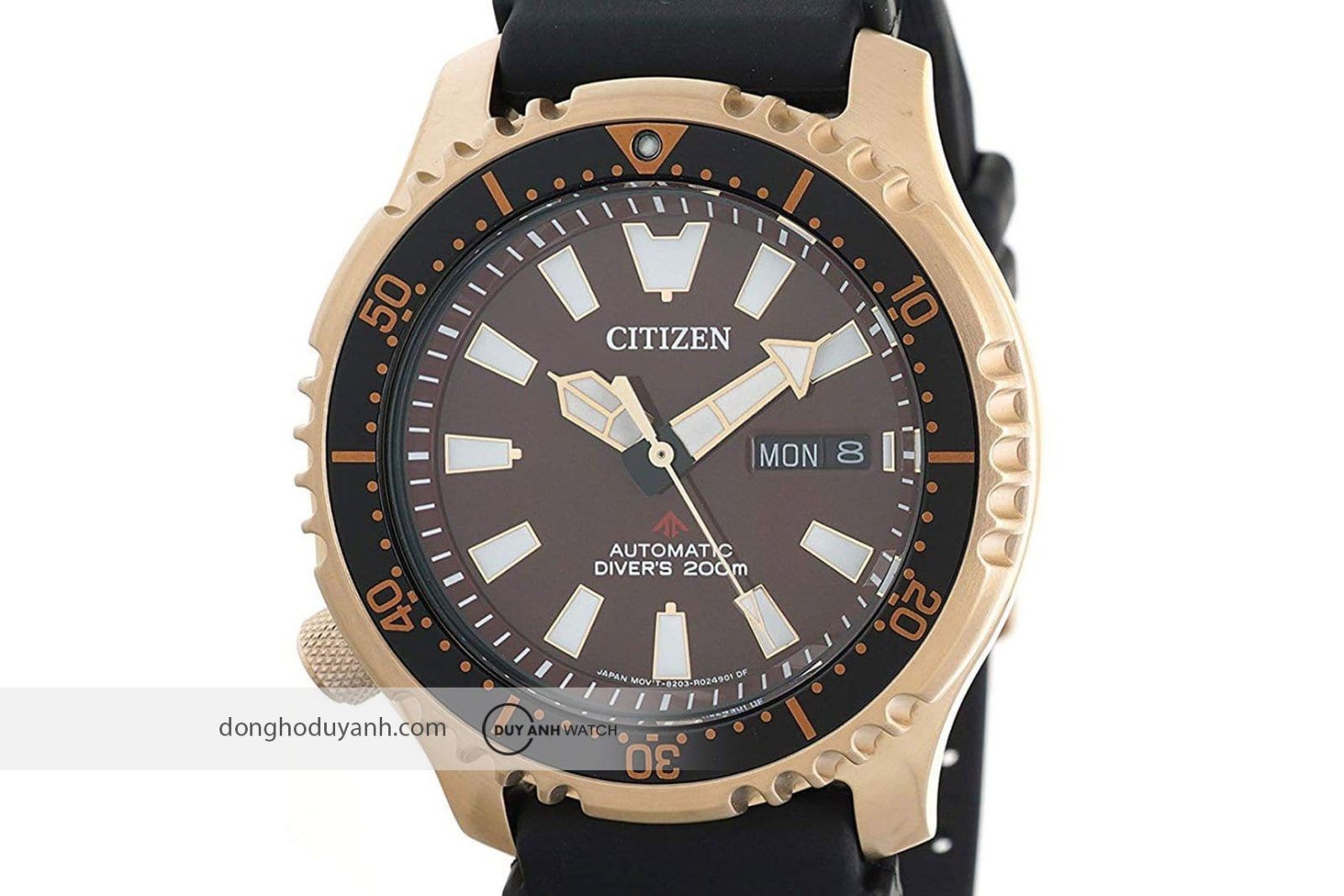 Citizen Promaster NY0083-14X