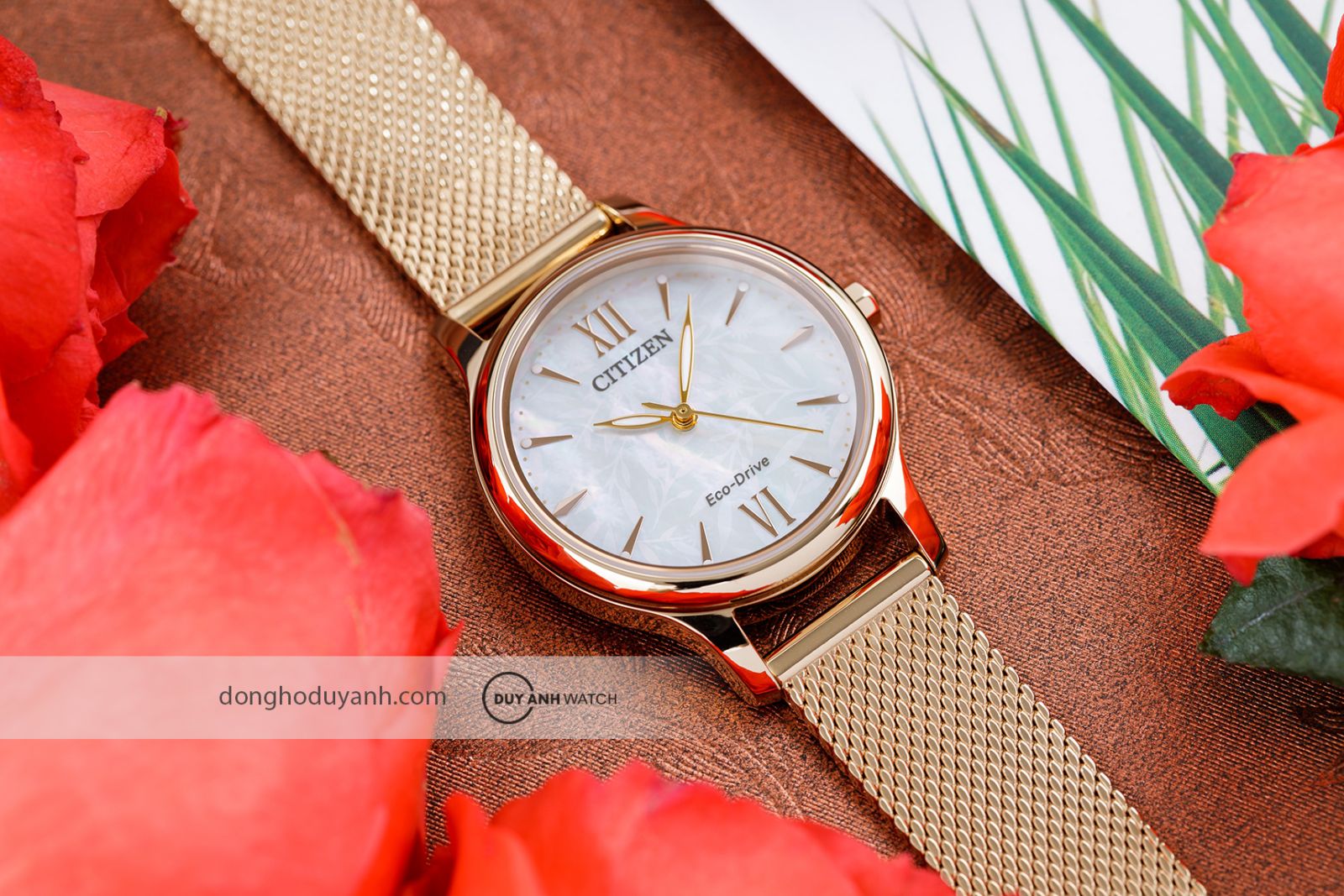 Đồng hồ nữ Citizen Eco-Drive EM0892-80D
