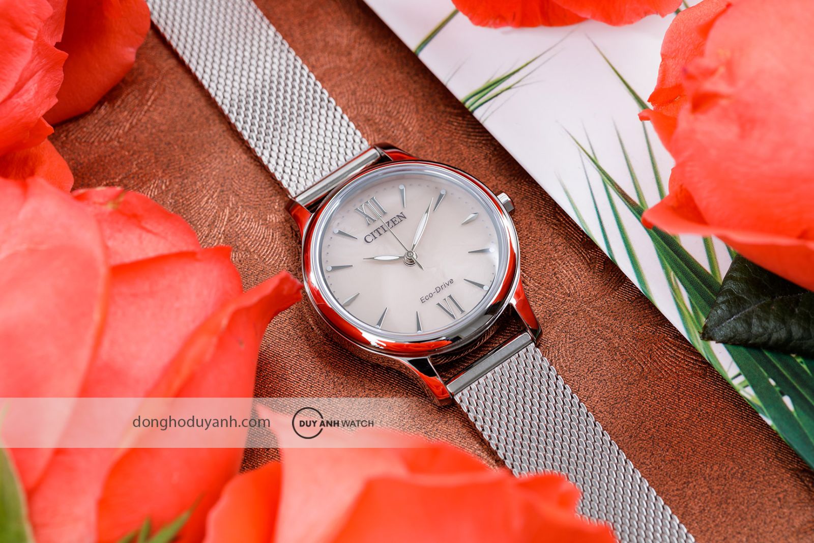 Đồng hồ nữ Citizen Eco-Drive EM0899-81X