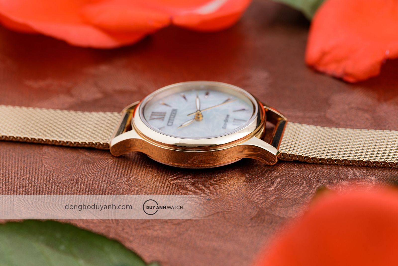 Góc nghiêng Citizen Eco-Drive EM0892-80D