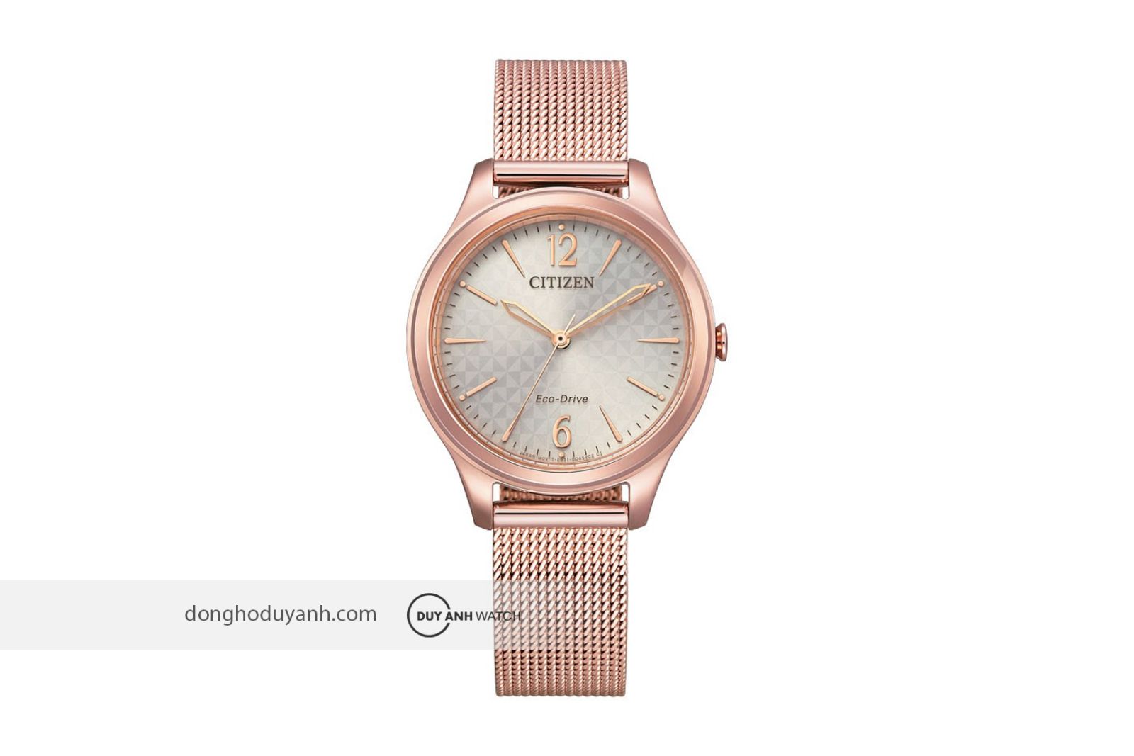 Đồng hồ Citizen Eco-Drive EM0508-80X