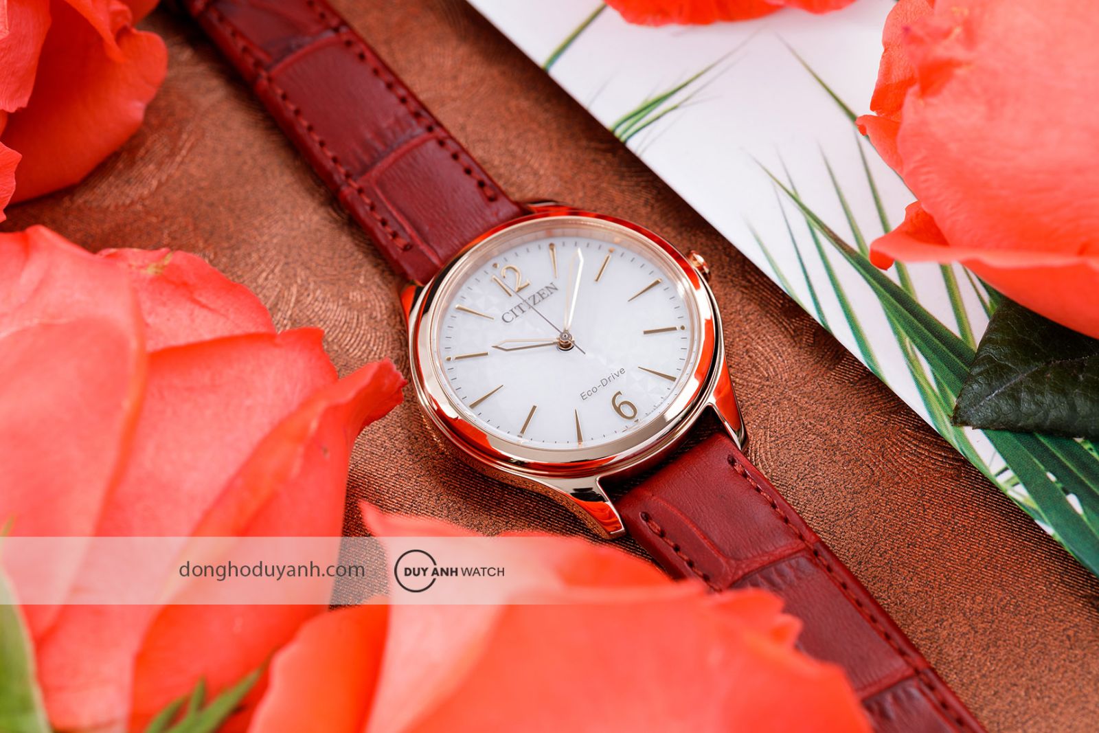 Đồng hồ nữ Citizen Eco-Drive EM0508-12A