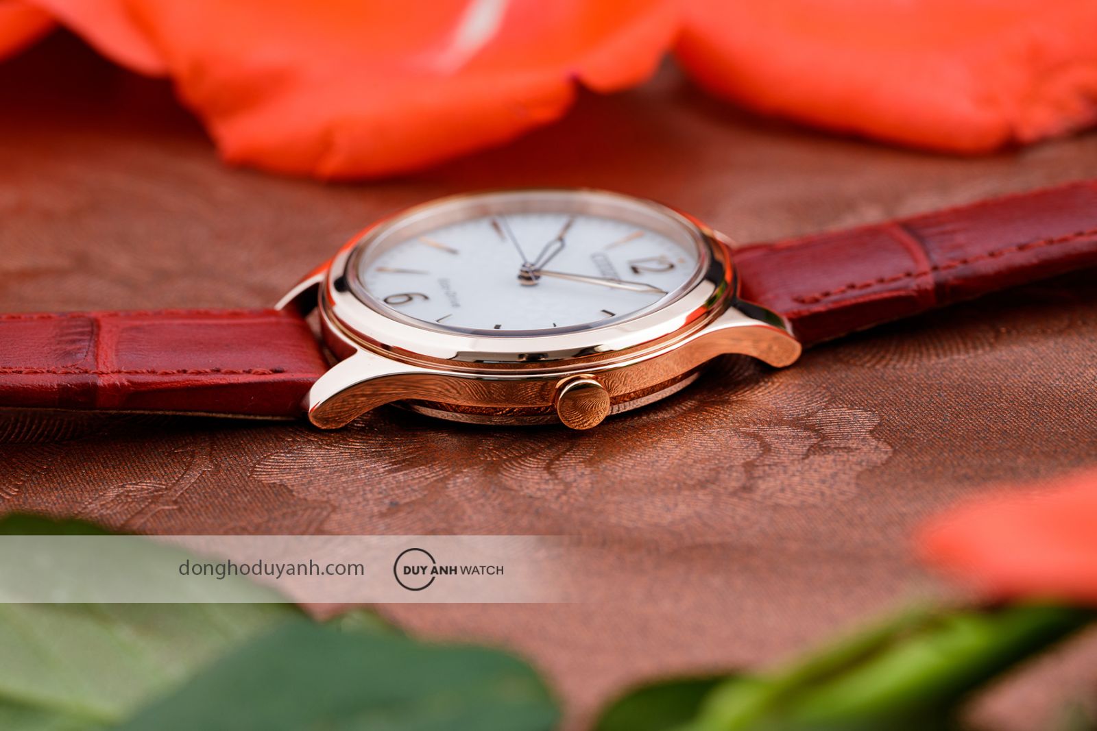 Bộ máy Citizen Eco-Drive EM0508-12A
