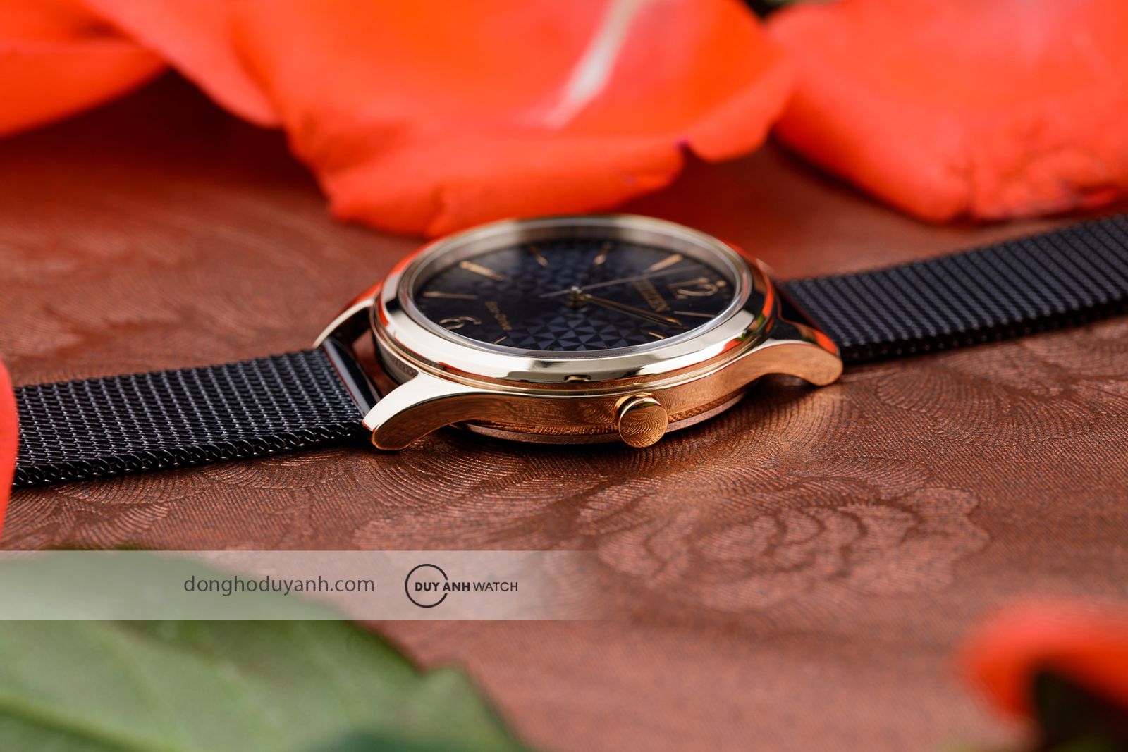 Bộ máy Citizen Eco-Drive EM0509-87E