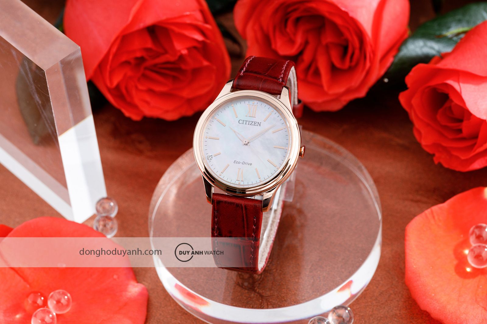 Đồng hồ nữ Citizen Eco-Drive EM0419-11D