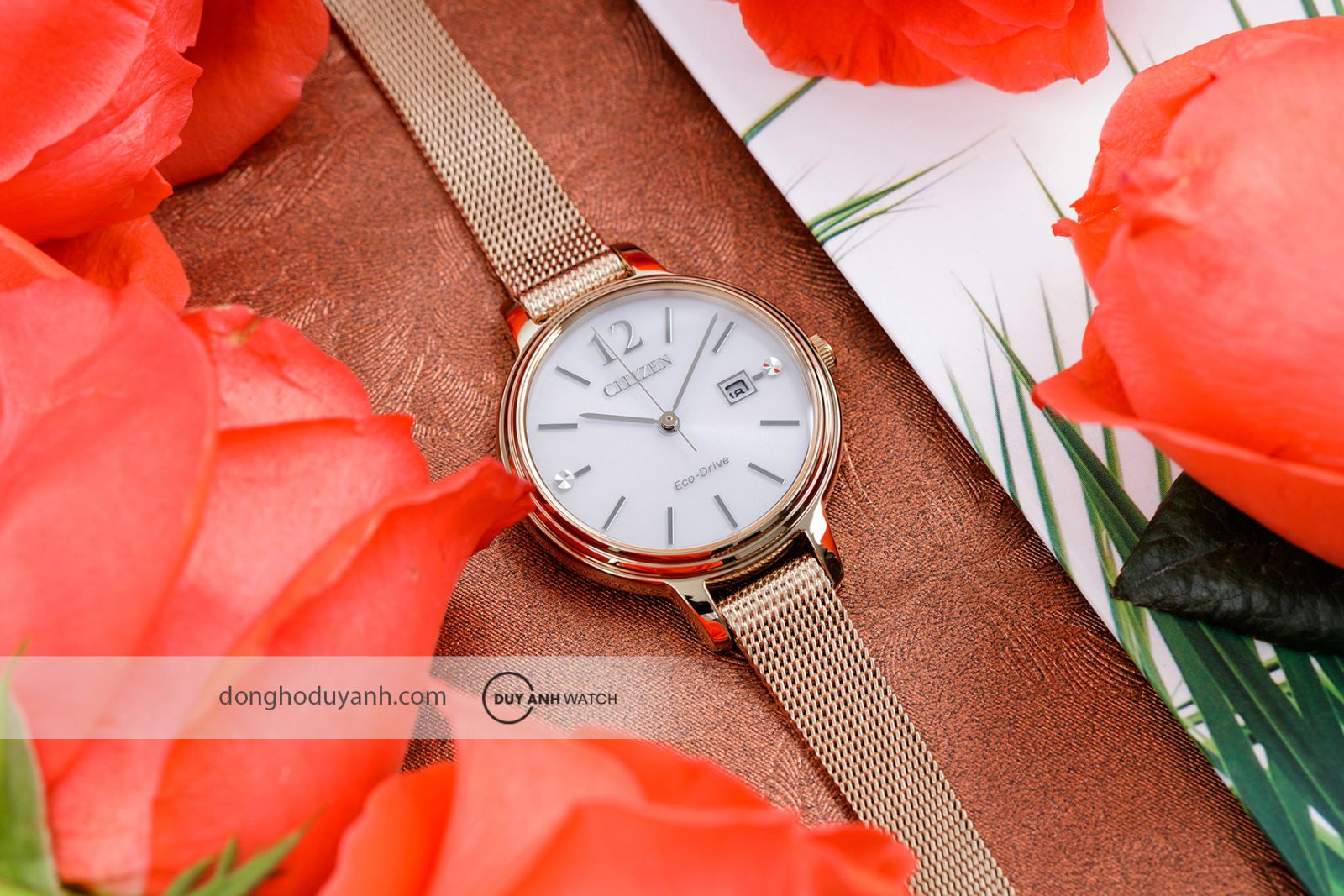 Đồng hồ nữ Citizen Eco-Drive EW2447-89A