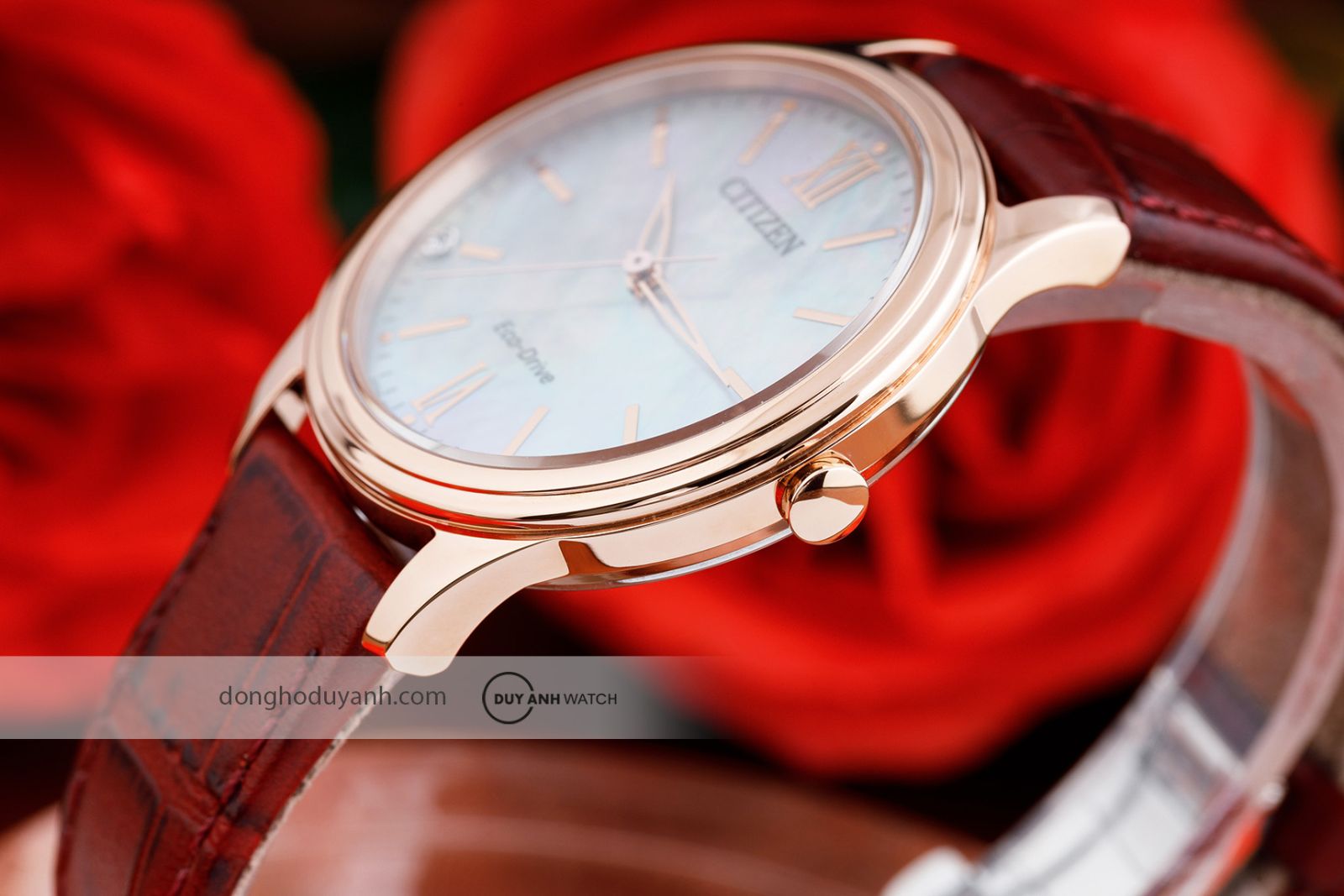 Bộ máy Citizen Eco-Drive EM0419-11D