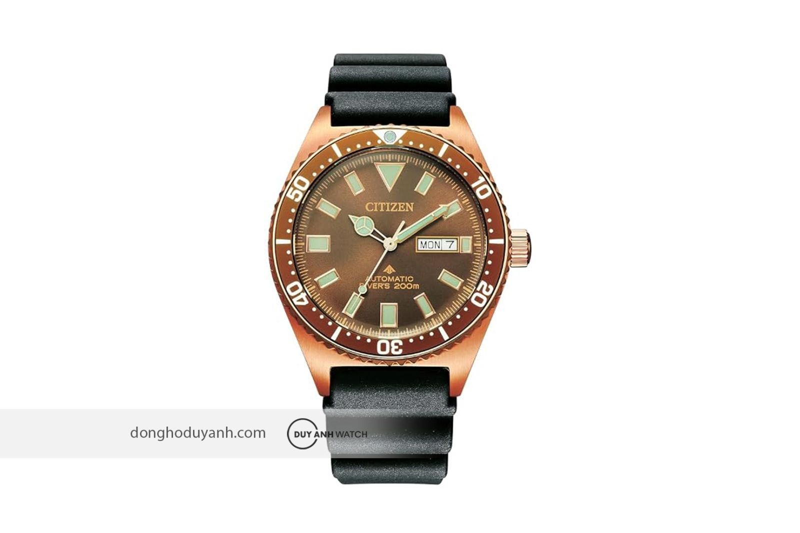 Citizen Promaster NY0125-08W