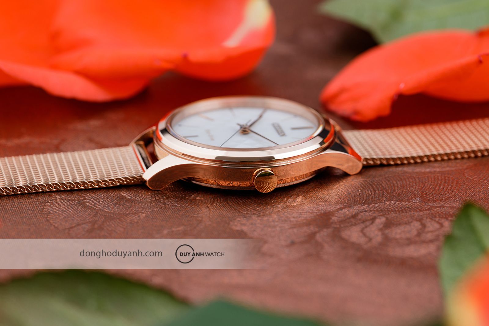 Bộ máy Citizen Eco-Drive EM0508-80A