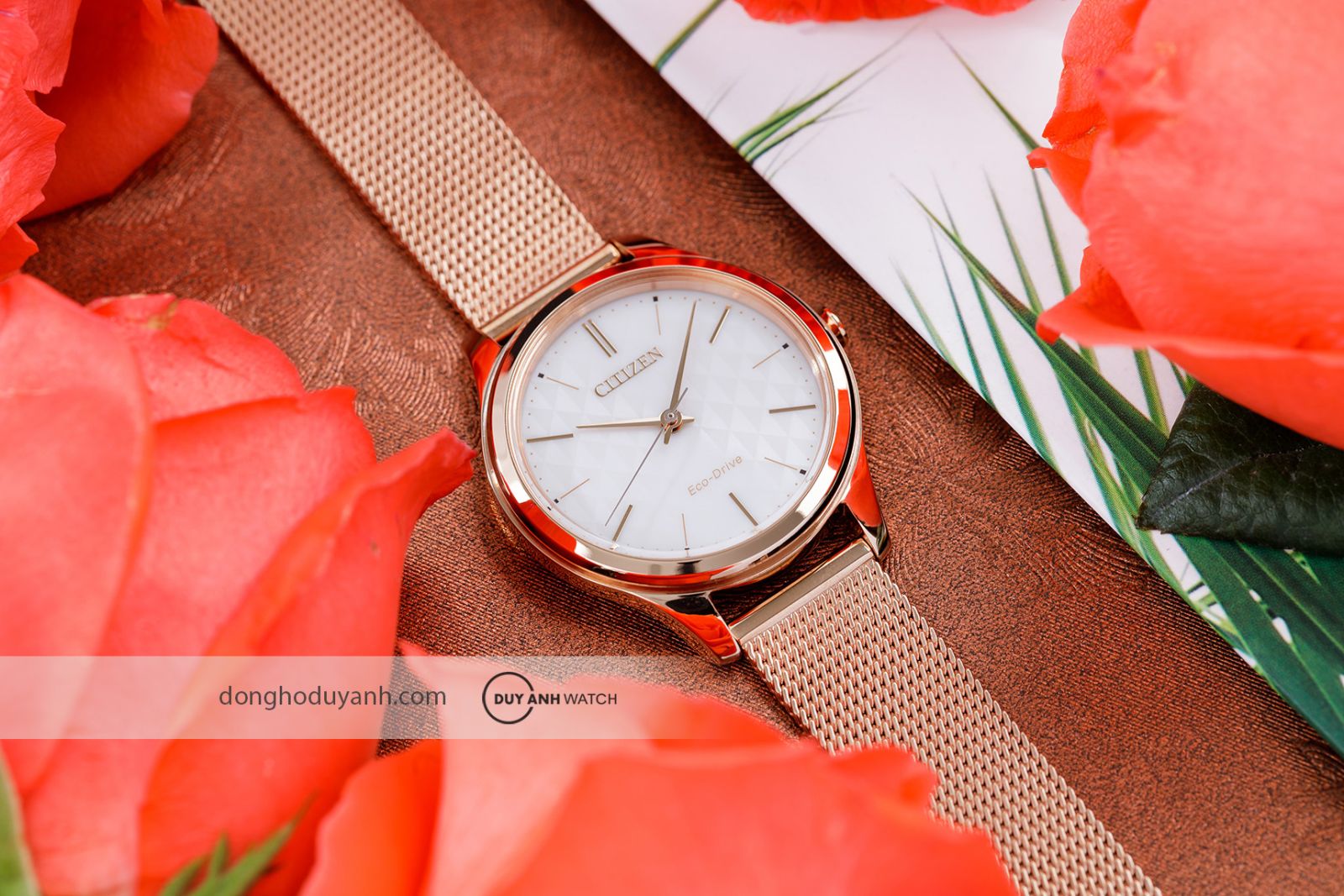 Citizen Eco-Drive EM0508-80A