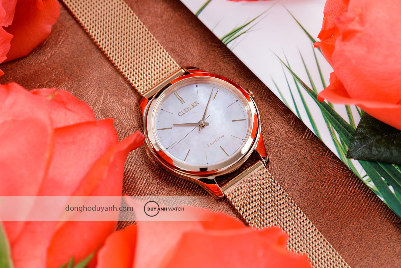 Citizen Eco-Drive EM0508-80Y