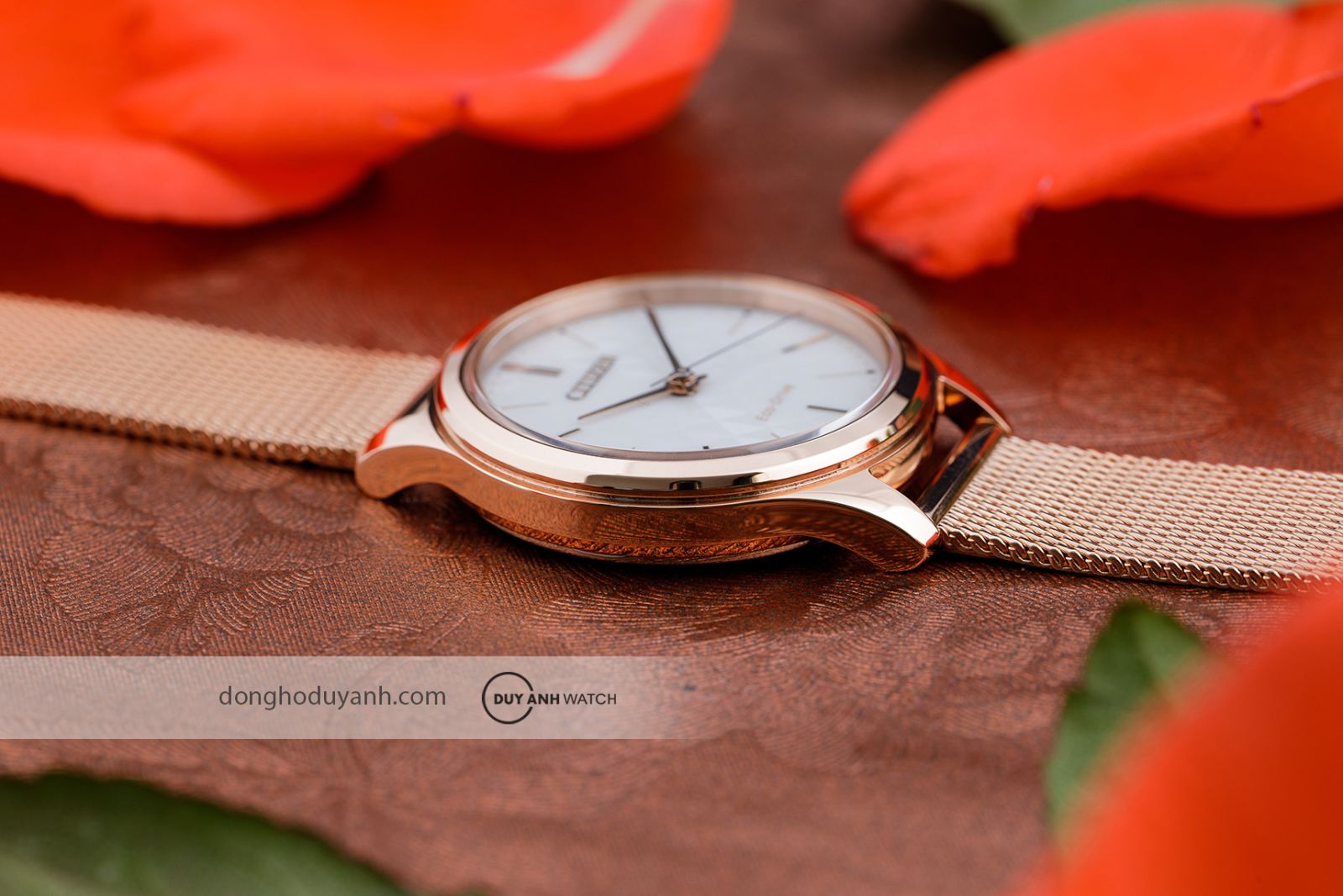 Góc nghiêng Citizen Eco-Drive EM0508-80A