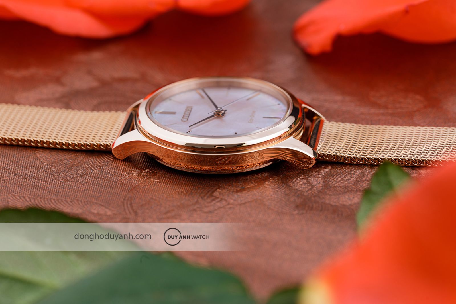 Góc nghiêng Citizen Eco-Drive EM0508-80Y
