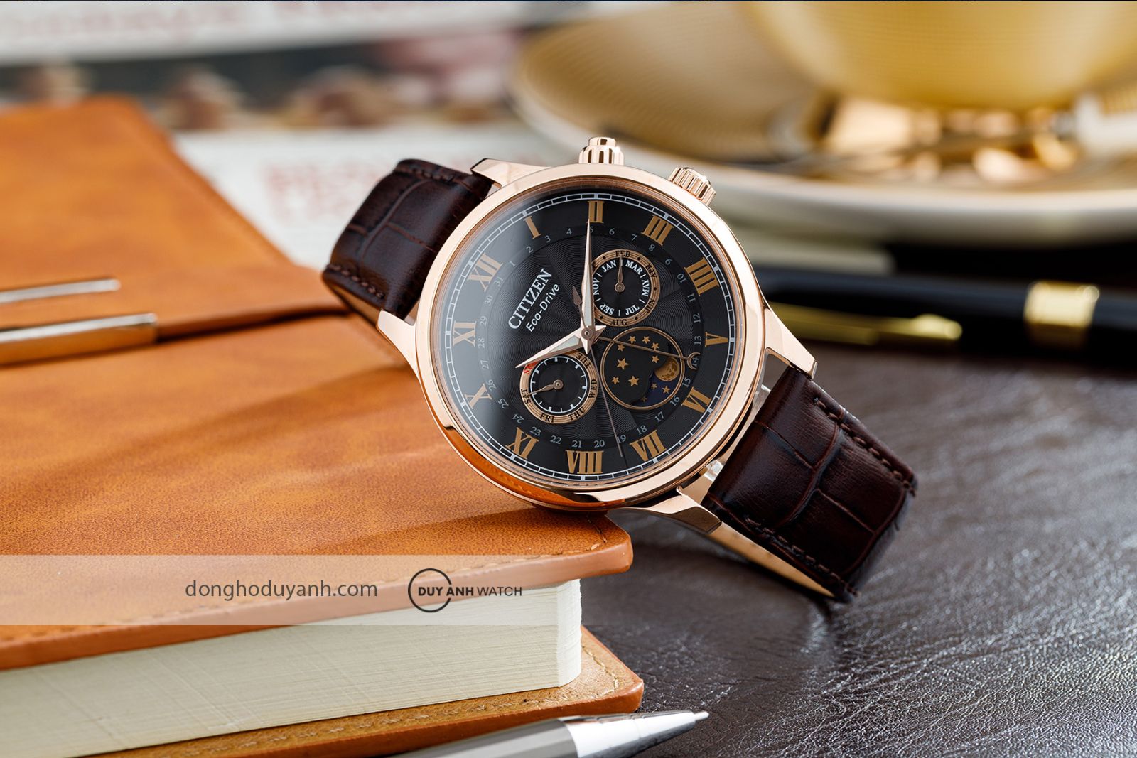 Citizen Eco-Drive Moonphase AP1059-19E