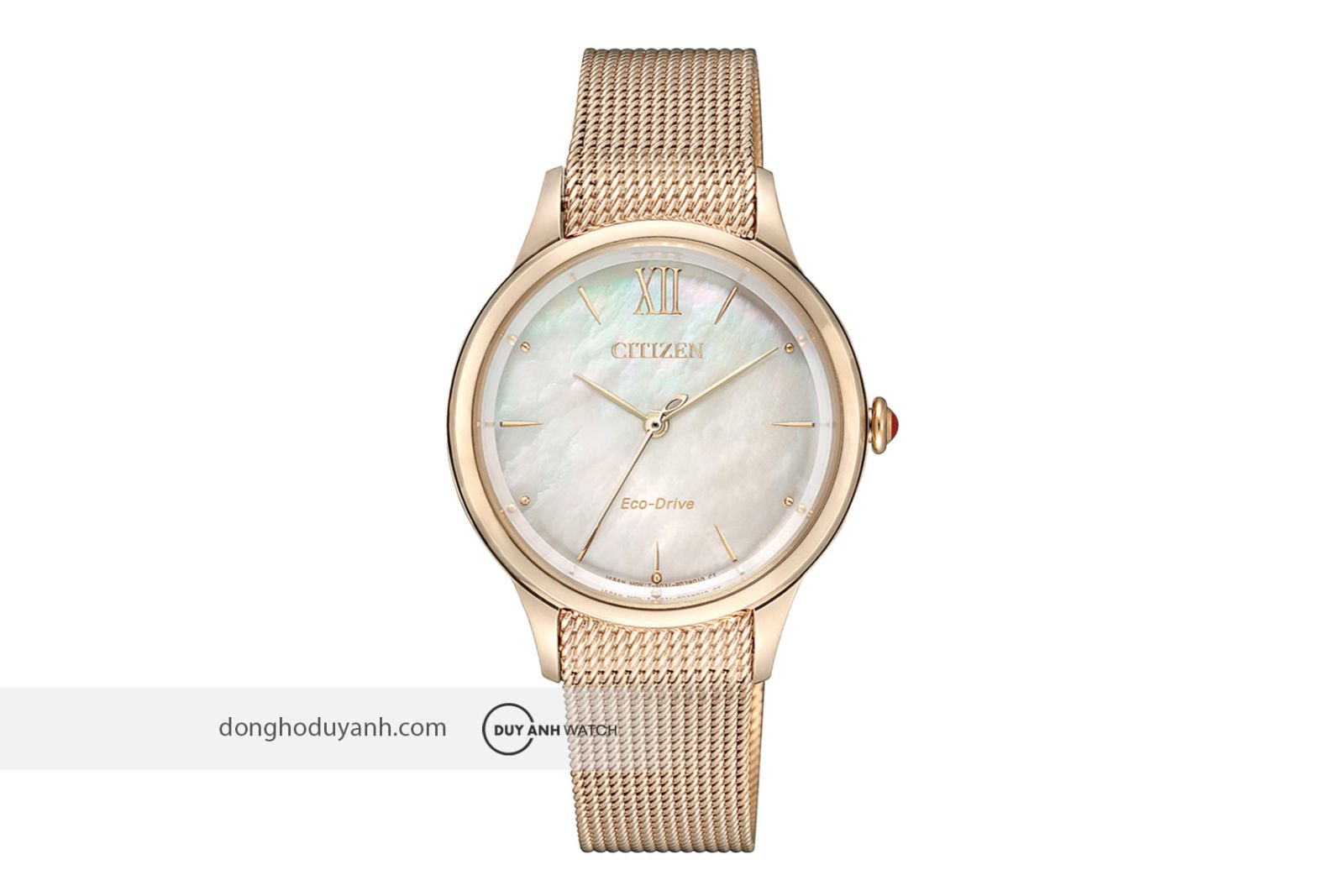 Đồng hồ nữ Citizen Eco-Drive EM0813-86Y