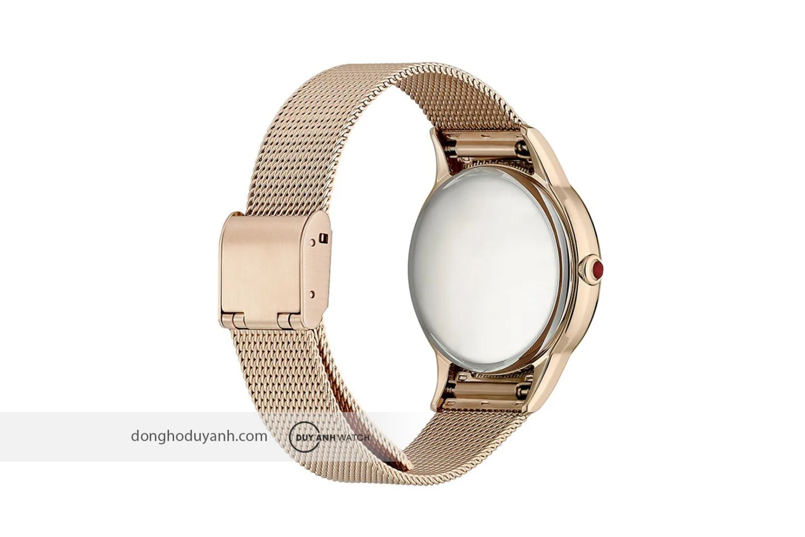 Mặt sau Citizen Eco-Drive EM0813-86Y