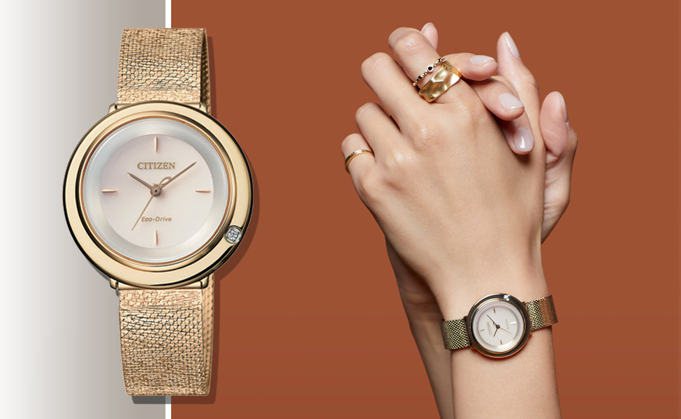 Đồng Hồ Citizen EM0643-84X